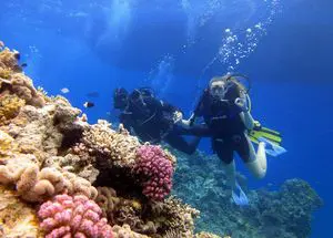 Nile Pharaoh Intro diving